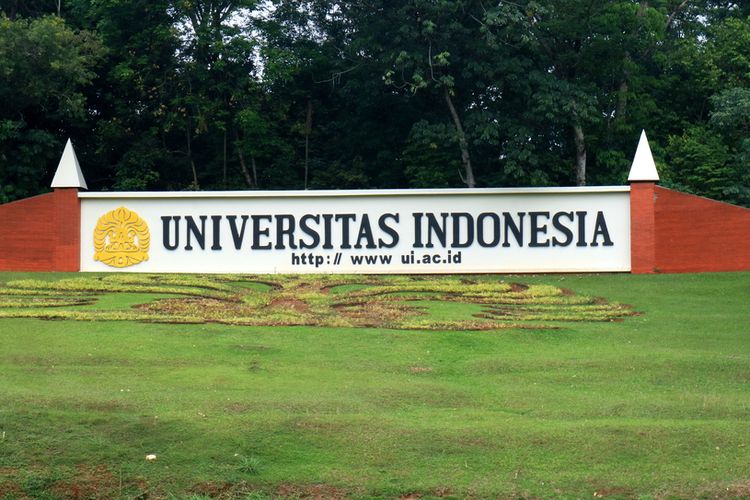 8 Universitas Terbaik Indonesia Versi THE World University Rankings 2023, UI Peringkat Pertama