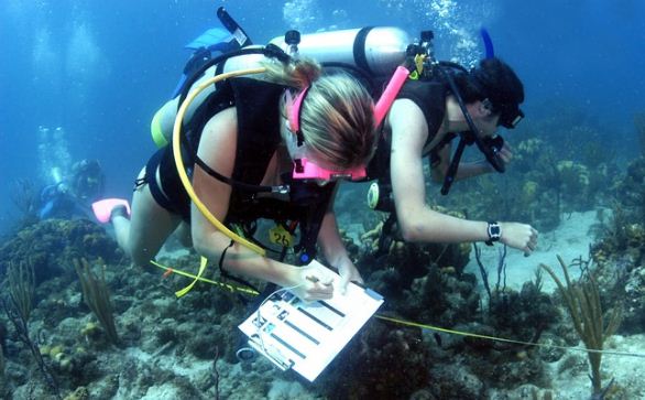 Seluk-beluk Jurusan Oseanografi untuk Kamu yang Ingin Tahu Lebih Banyak tentang Laut